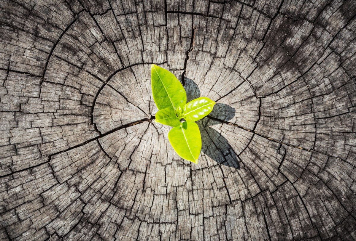 Through time and experience, we have learned that successful long-term investing requires patience, discipline and a deep understanding of the companies we invest in. We seek to identify businesses with strong and attractive future potential, invest when valuations are compelling, maintain active oversight and hold until that value is realised.